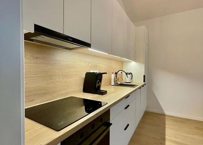 Apartment Chlumovanest Zizkov, Close To The Center Prague